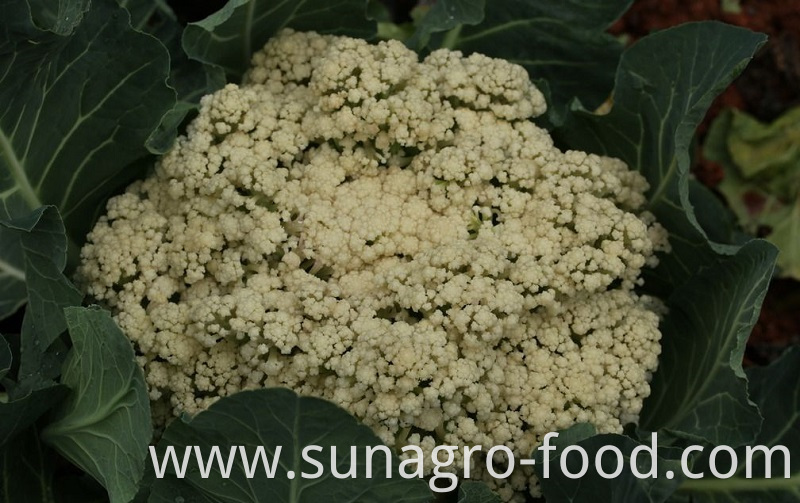 Frozen Organic Bulk Cauliflower